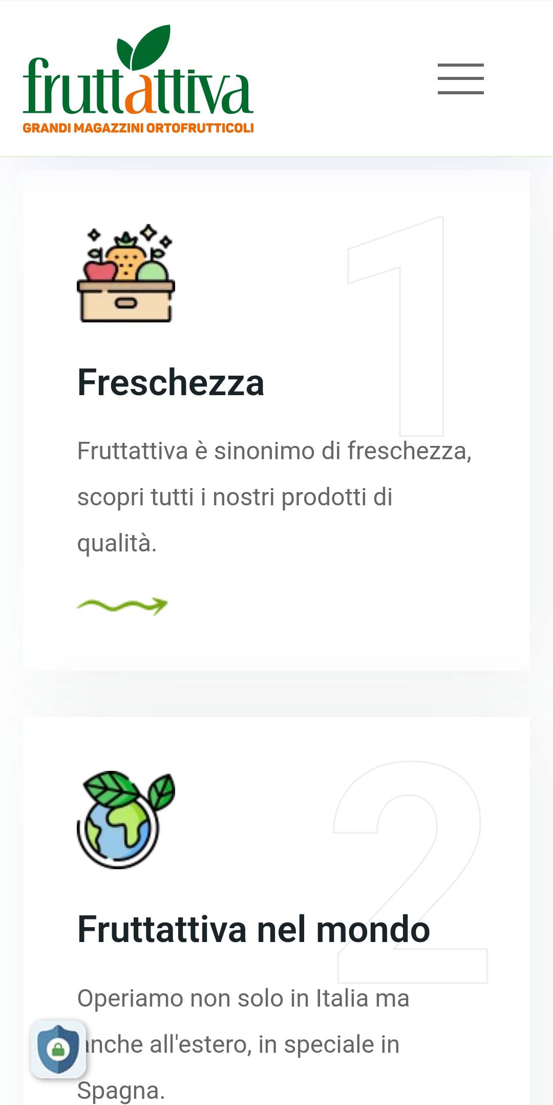 portfolio di Fruttattiva